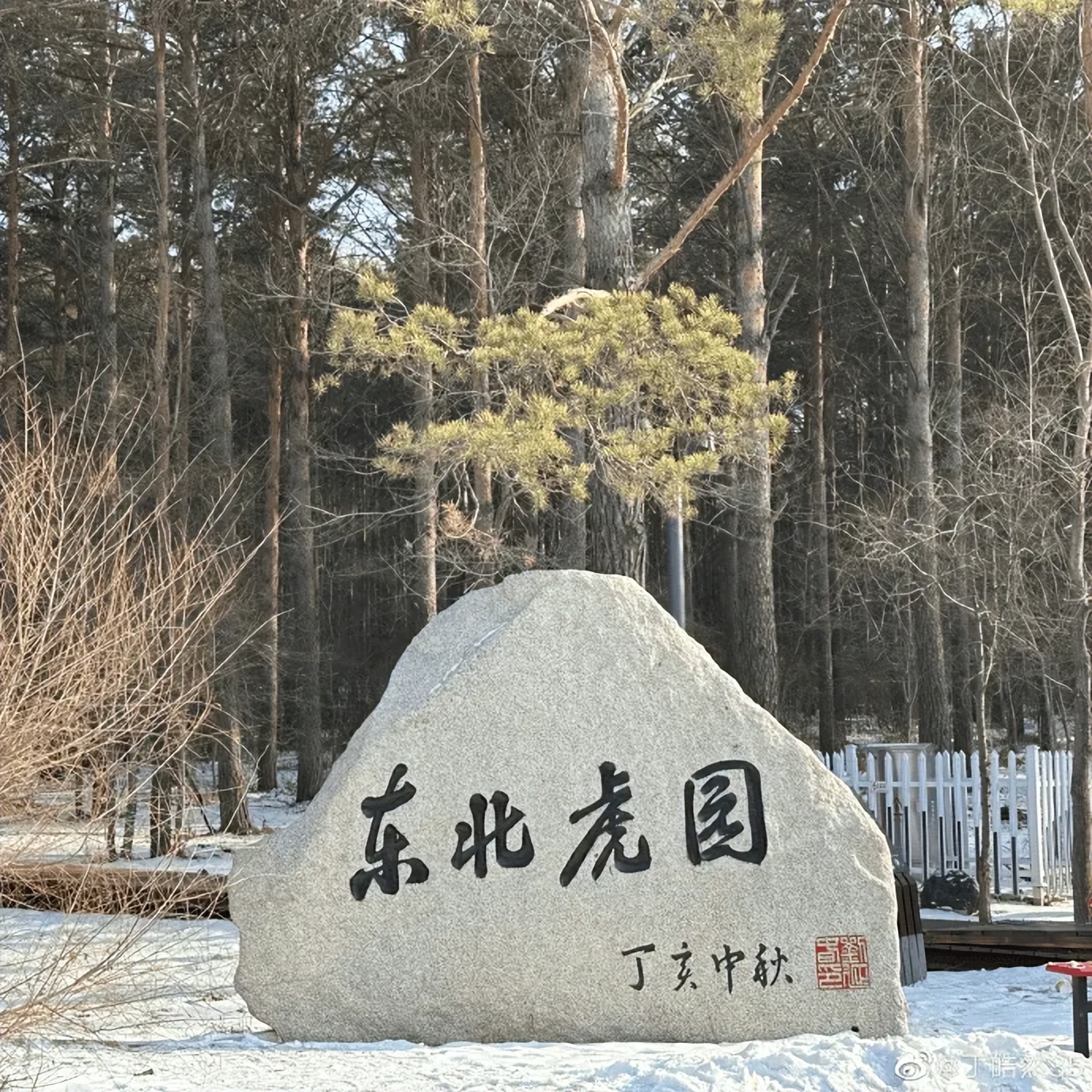 丁皓然是谁,丁皓然籍贯