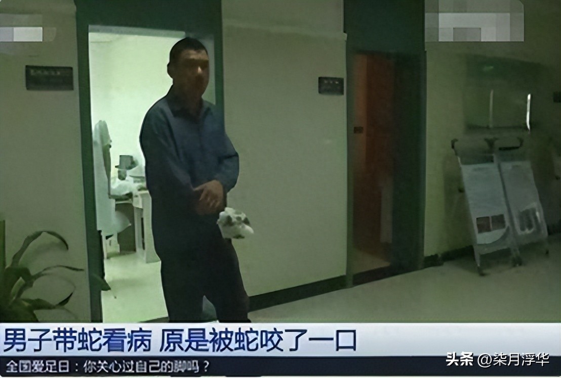 贵州男子被“剧毒银环蛇”咬伤，提蛇去就医，医生看后长舒一口气