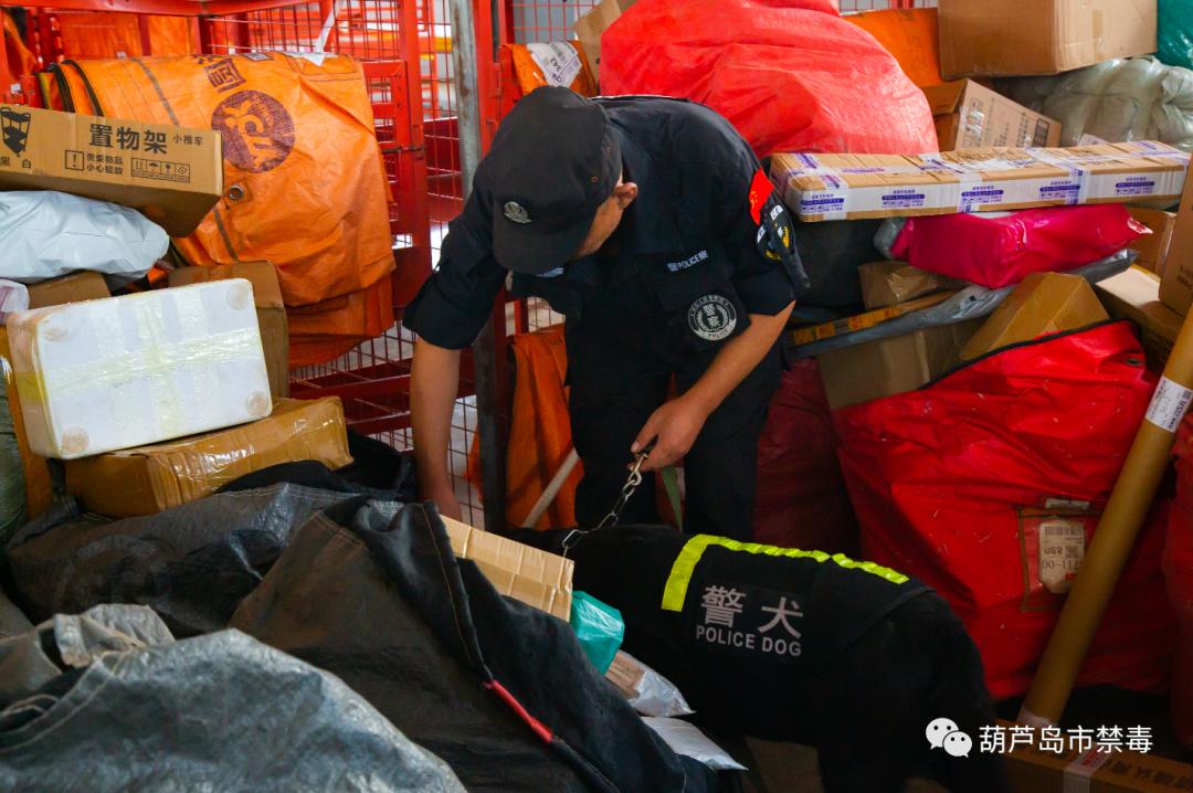 葫芦岛市禁毒支队与相关部门对物流寄递企业开展联合检查执法