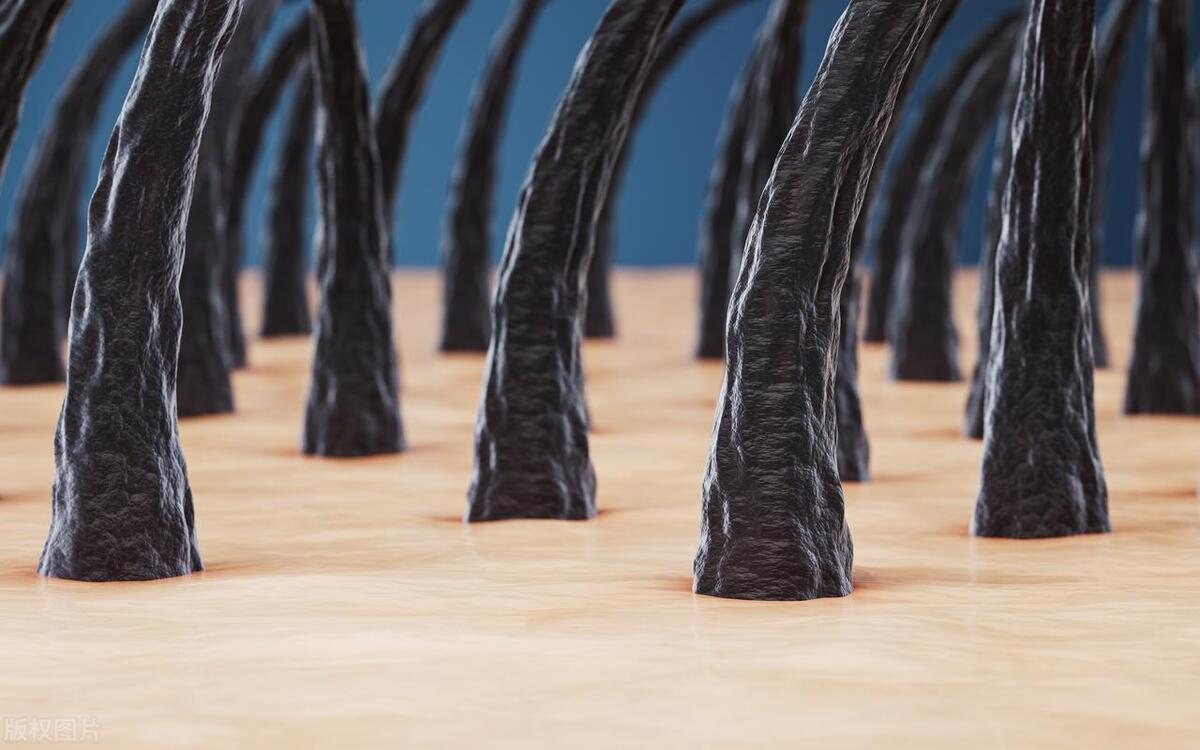 为何下面的毛毛是卷的？能剪掉吗？医生：不要乱来，有大作用