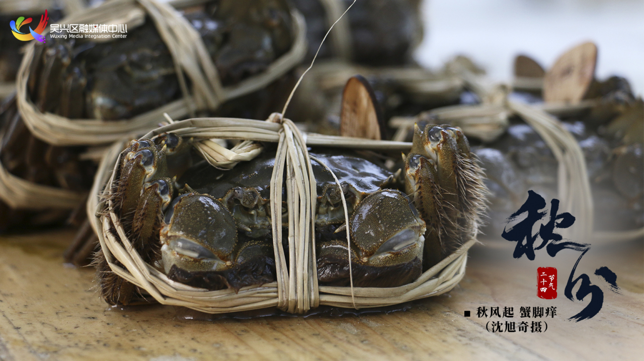 今日秋分|平分秋色，共享收获~