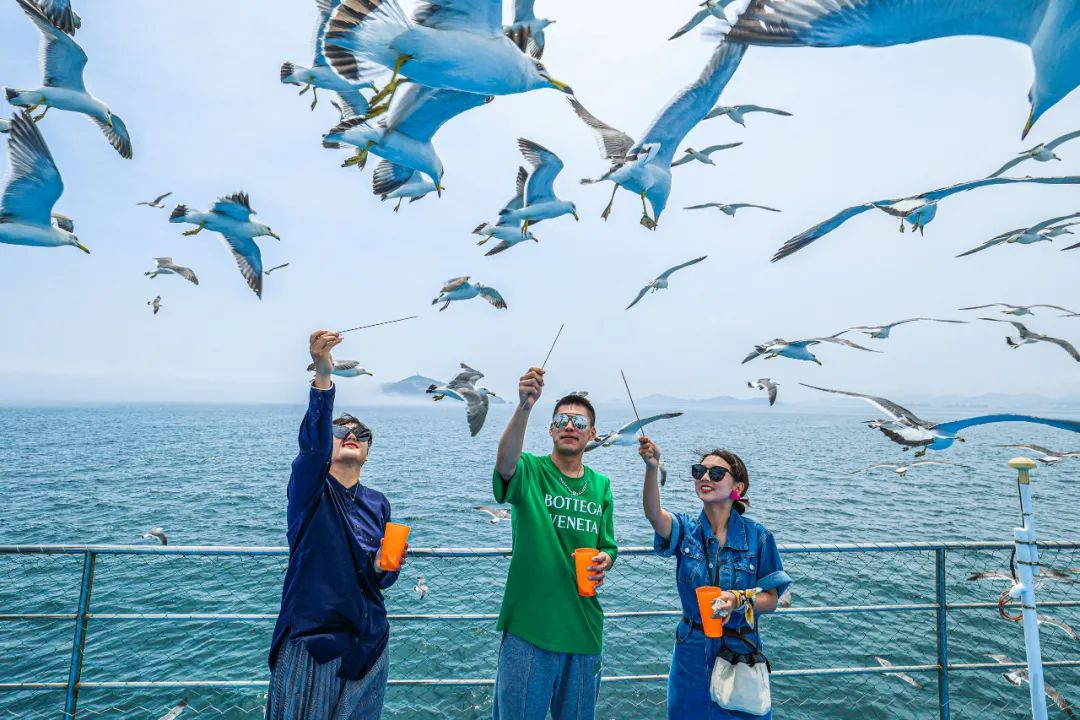 阳光正好周末出去走走,阳光明媚的周末游
