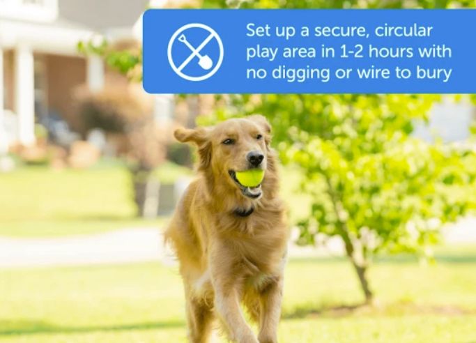 PetsafevsPETKIT小佩出海品牌新打法挖掘用户被市场忽视的新需求