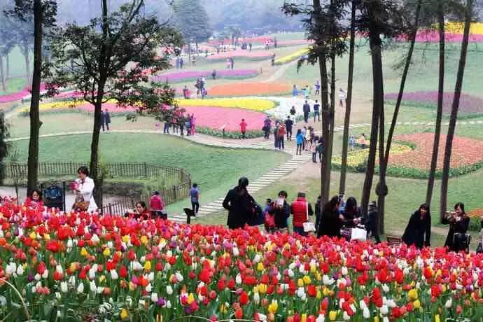 踏春赏花成都这些地方值得去看看,清明踏青成都一天来回的景点