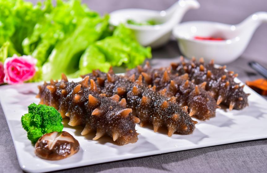 海参到底有营养没,海参最有营养的服用方法