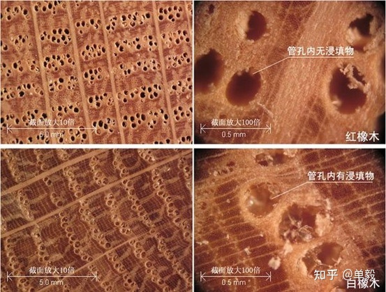 实木木材怎么选,实木橡木如何选择