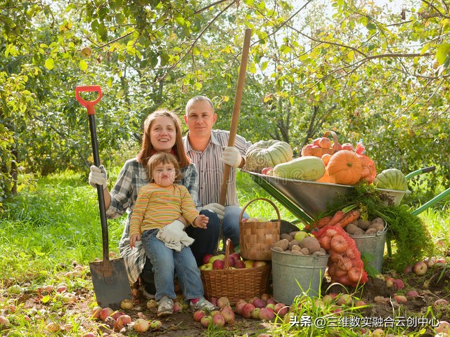新型家庭农场的致富路,家庭农场的发展红利又将迎来高潮
