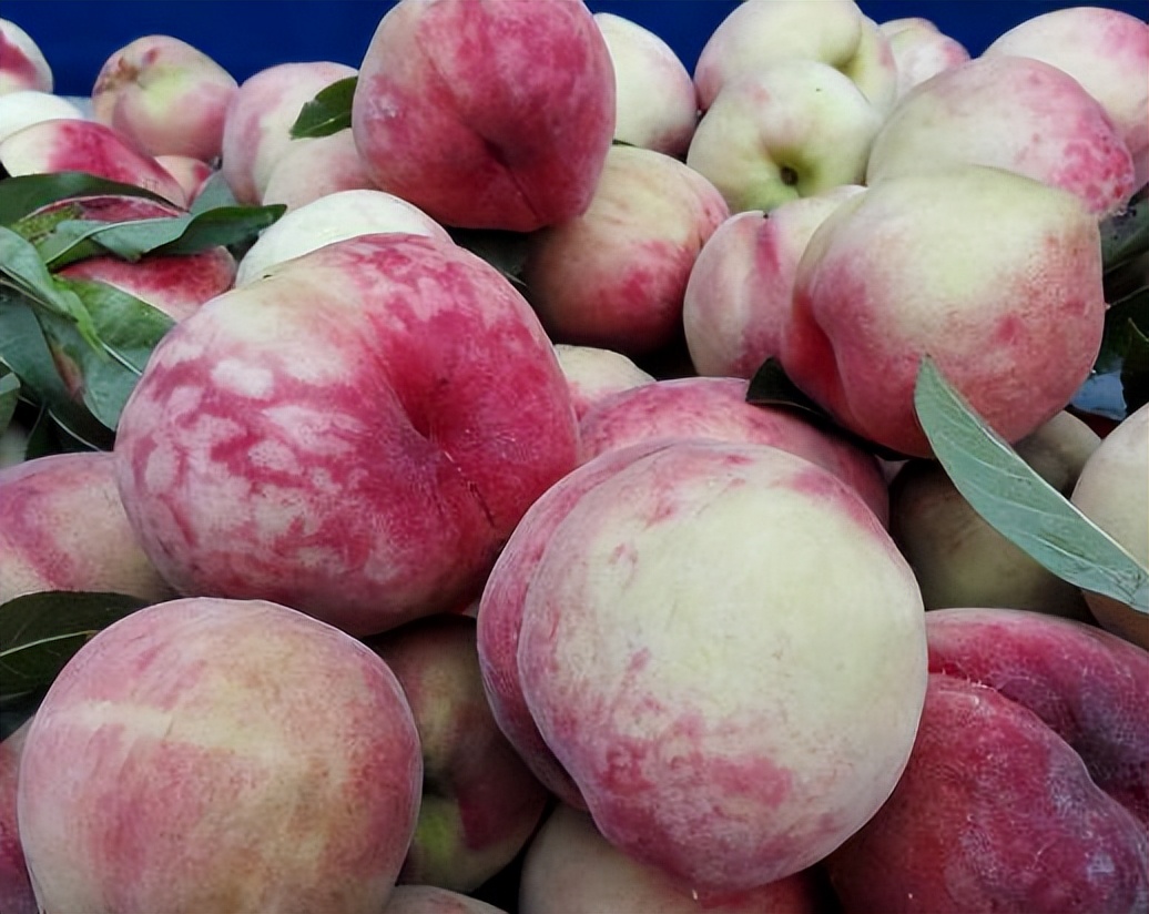 桃子最好吃的10种做法,吃剩下的桃子该怎么做