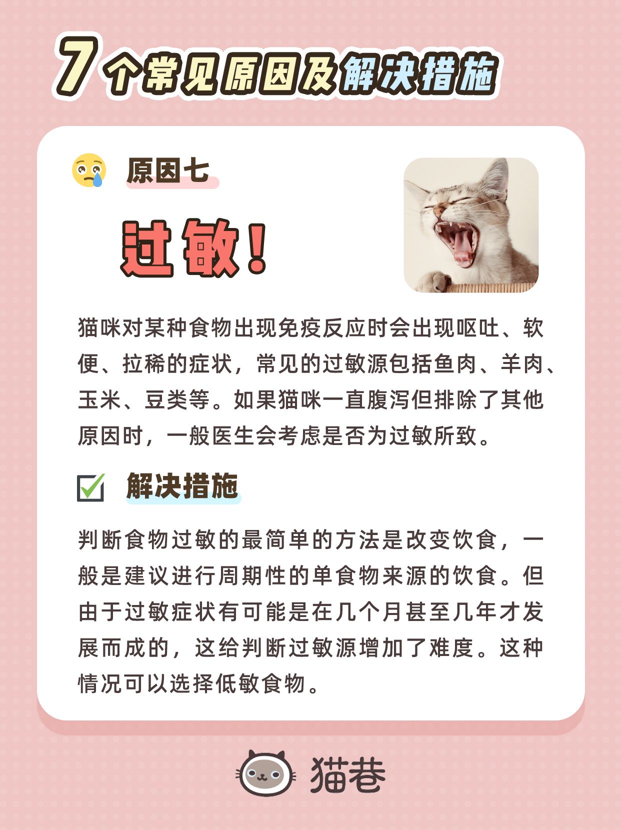 幼猫拉稀的解决办法是什么,幼猫拉稀一般什么原因