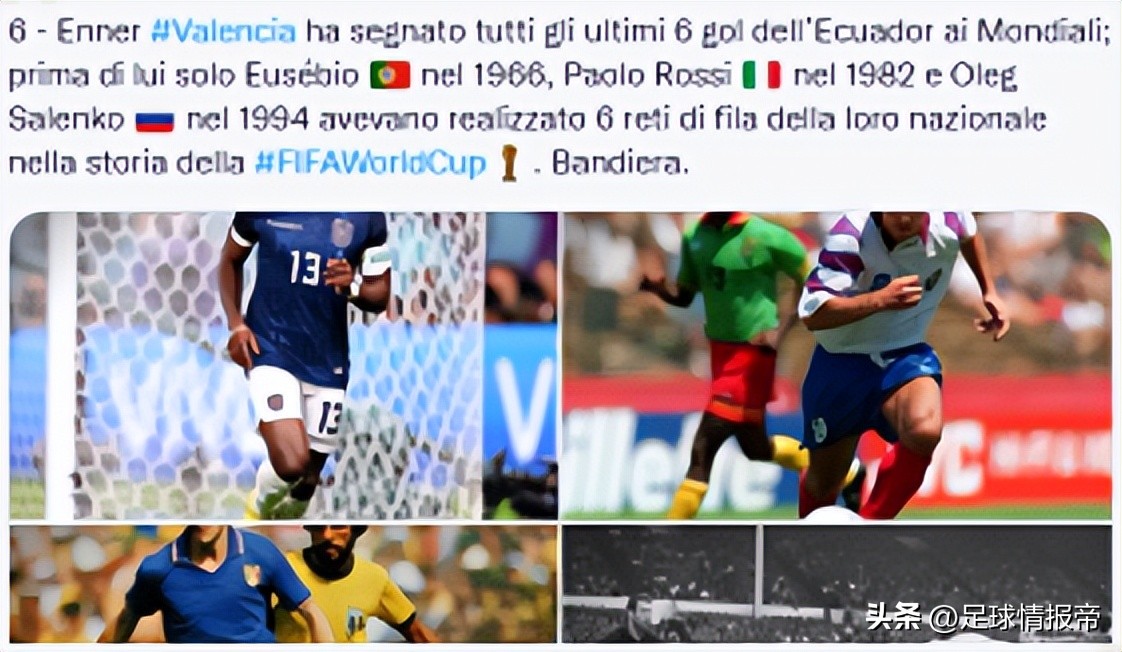 世界杯：荷兰VS卡塔尔，荷兰主帅称难大胜