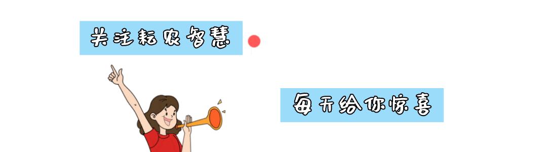 耘农智慧,邯郸市耘农智慧