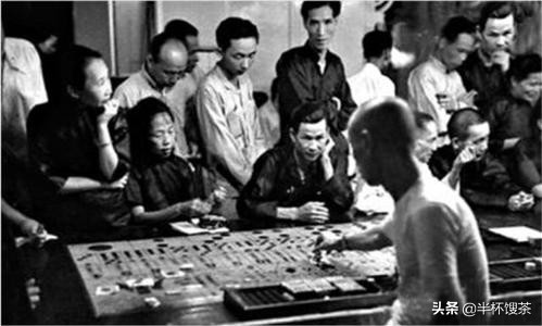 我的谍战生涯小说免费看,小说我的谍战生涯全本免费阅读