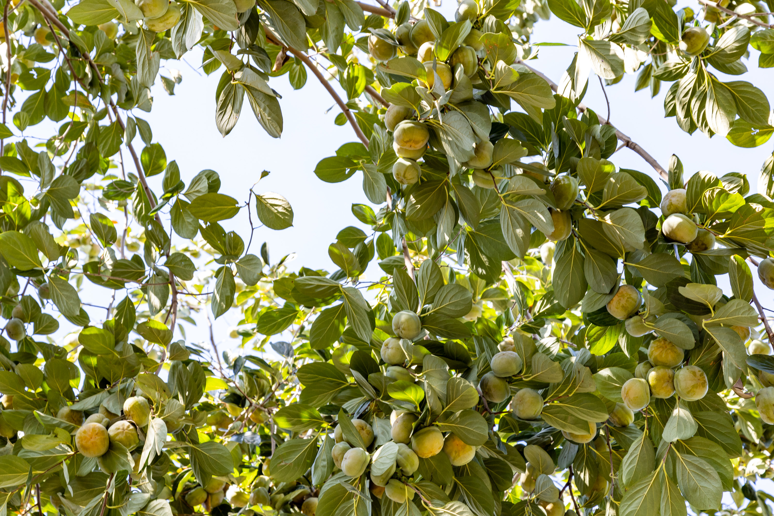 凌晨四点半的阿斯塔纳市,阿斯塔纳航班起飞