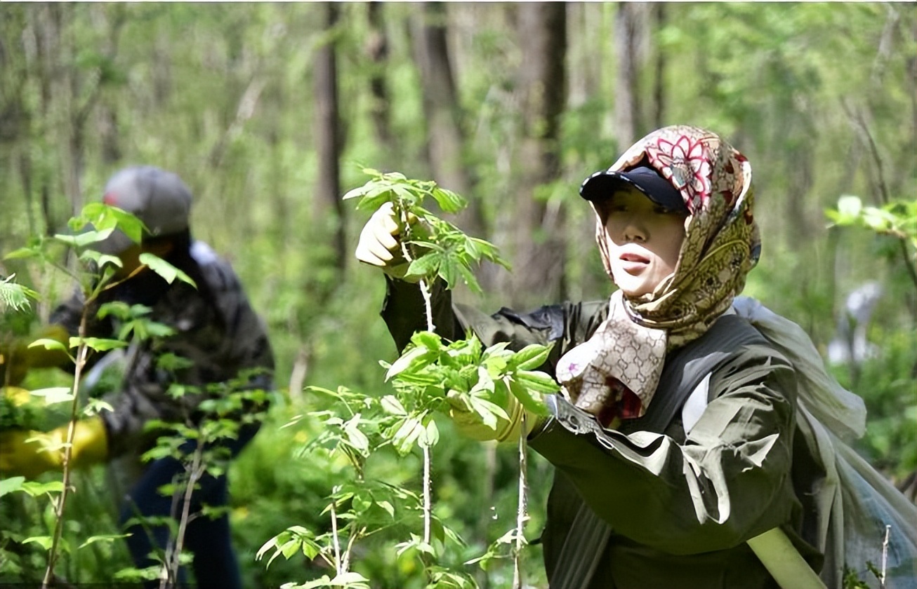 氧居田园山水一个值得你去体验的康县