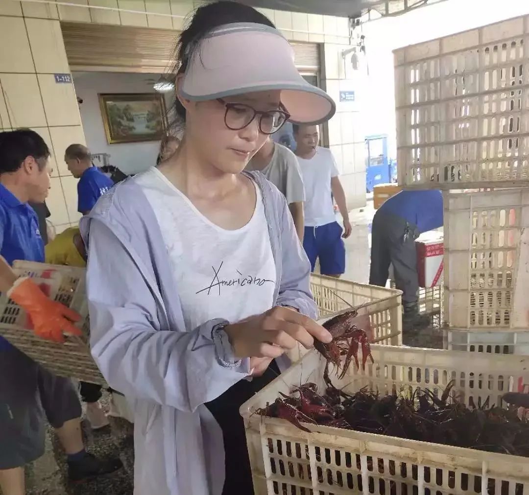 全国小龙虾之乡名不虚传,小龙虾之乡最新消息