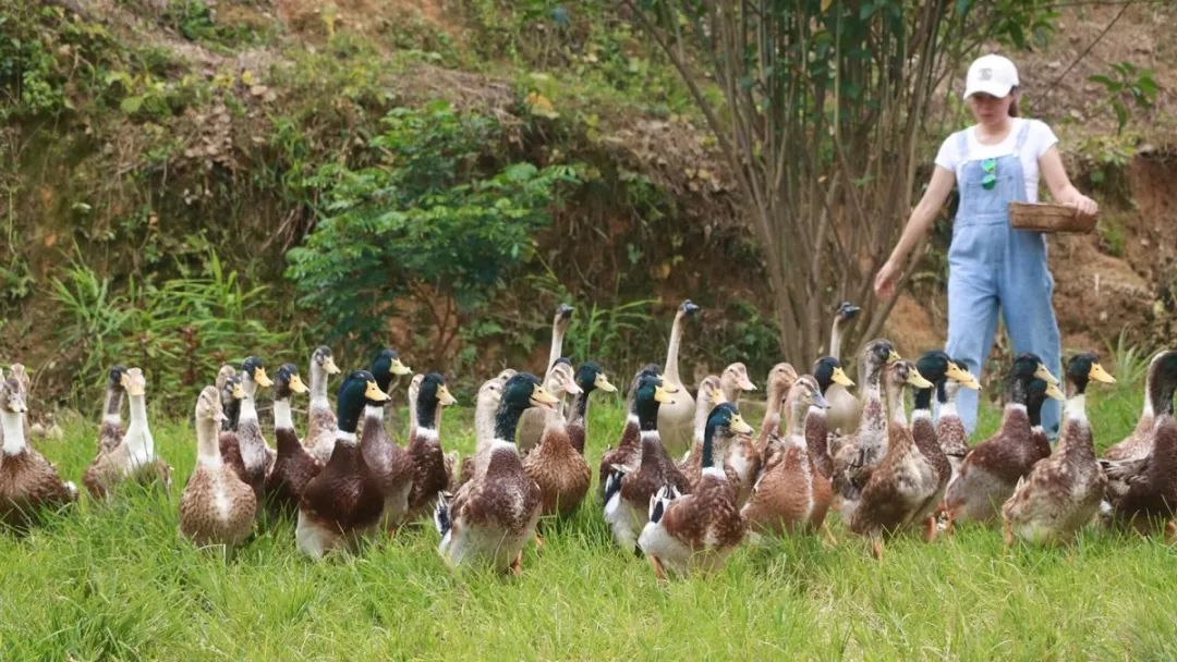 深山老林创业,从大山走出的创业之路