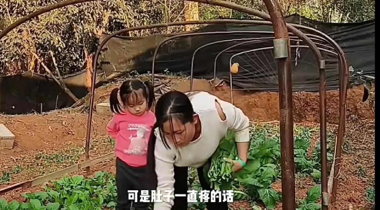 越南女孩珍珍,越南媳妇珍珍