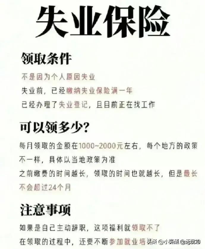 医保报销有哪些可以报,医保中具体哪些可以报销