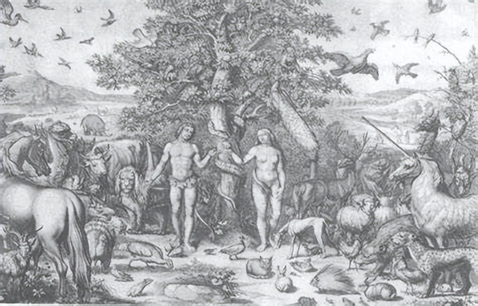 跟随米尼克·希珀，回溯文化中性别权力的移交：读《乐园之丘》