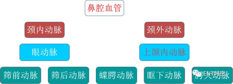 最全面！鼻出血病因及治疗