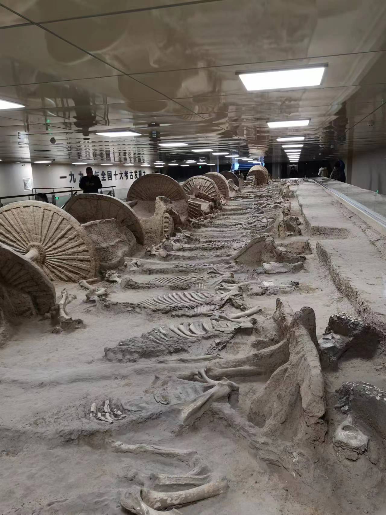 寻味山东淄博,淄博博物馆推荐