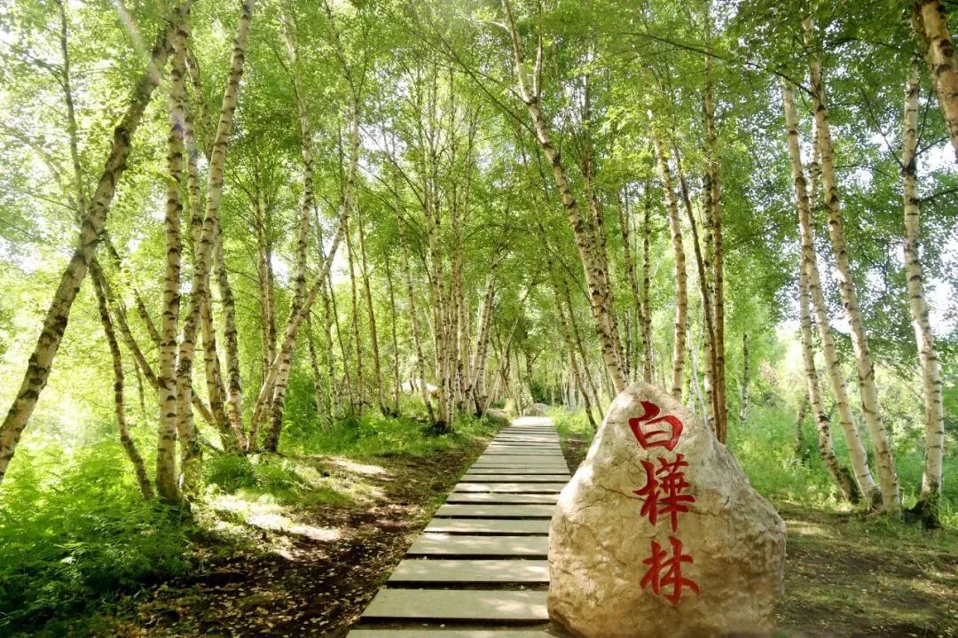 速收！兰州出发，临夏太子山旅游大通道及3-5日大环线自驾游攻略！