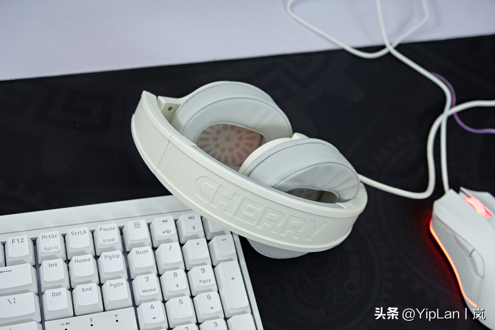 cherry澶栬鎺ㄨ崘,鍞湁淇′话涓嶅彲杈滆礋