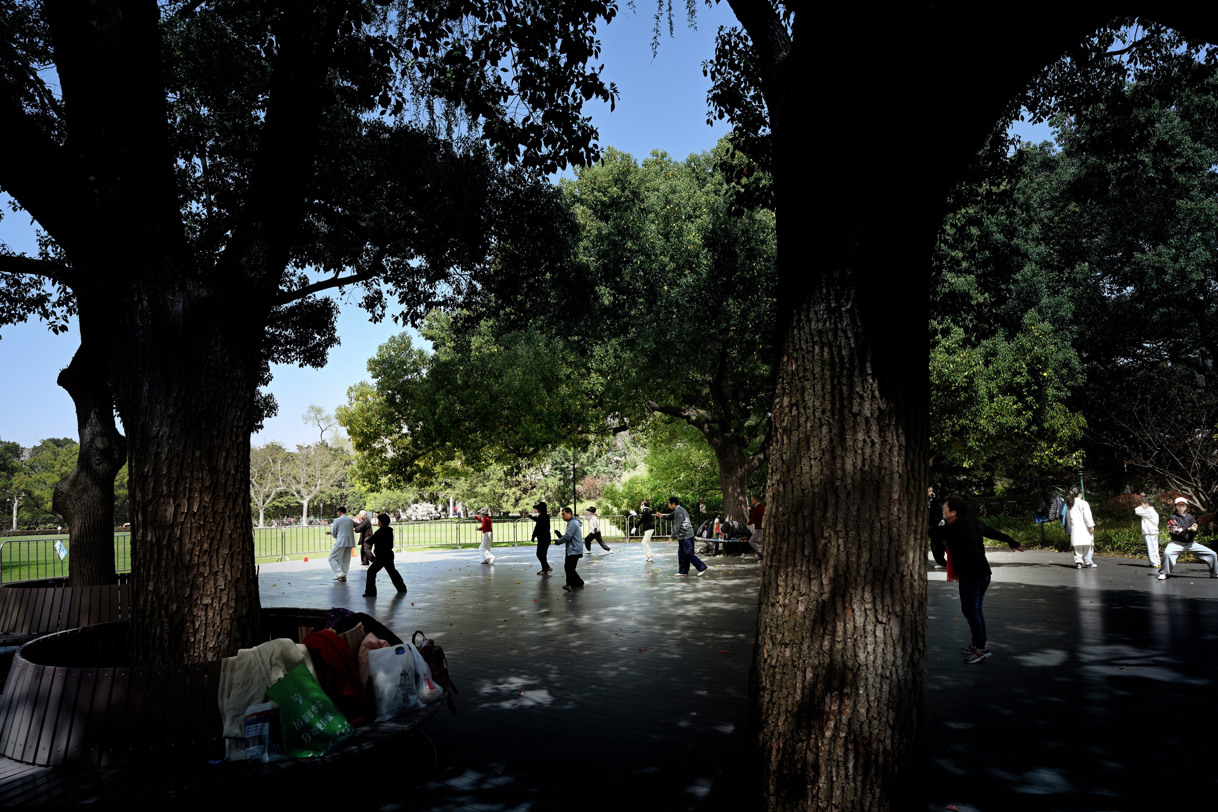 最近上海中山公园,最新上海中山公园介绍