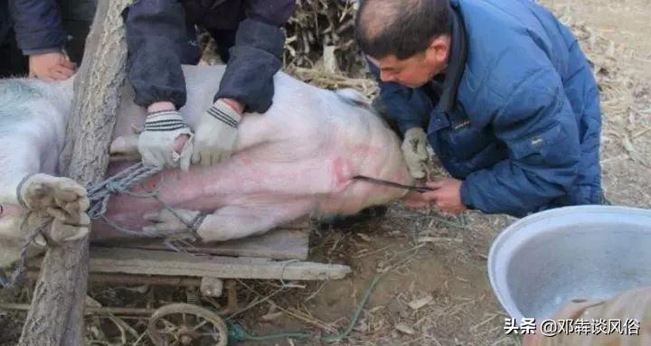 裸聊被骗5万,大学生裸聊几分钟被骗2万多