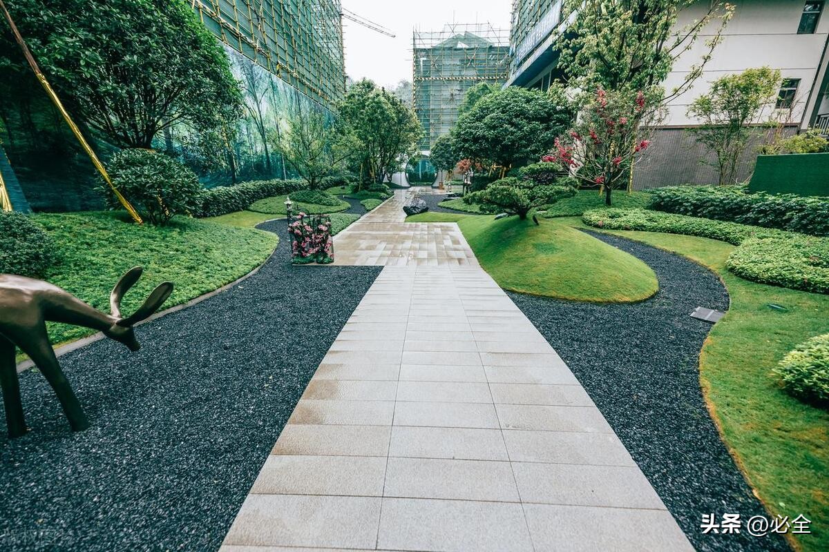 鍚勫競鏅缁垮寲鐢ㄧ殑鏍戠,鏅缁垮寲鏍戠