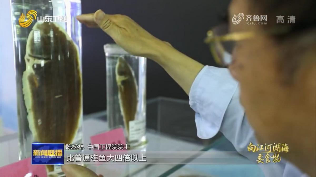 也是有故事的“鱼虾蟹”，看山东怎样向江河湖海要食物