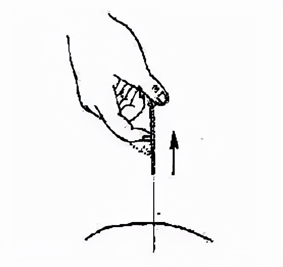 针灸理疗与针灸治疗,针灸原则及治疗方法是上病下治