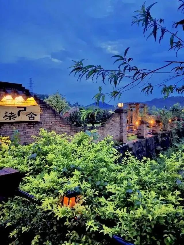 广州增城四季田园民宿,增城网红稻田民宿