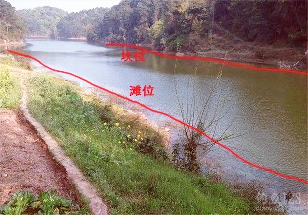 春季钓鲫鱼调漂的正确方法与技巧,春季垂钓技巧