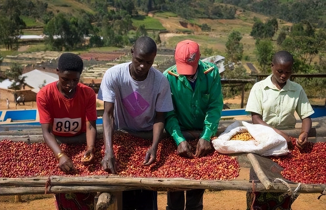 非洲国家布隆迪：禁止跑步，有自行车就是土豪，一把锄头就是彩礼