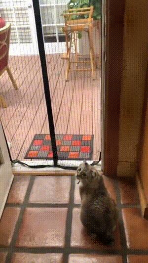 搞笑趣图看一张就笑趴,趣图搞笑照片真实男生