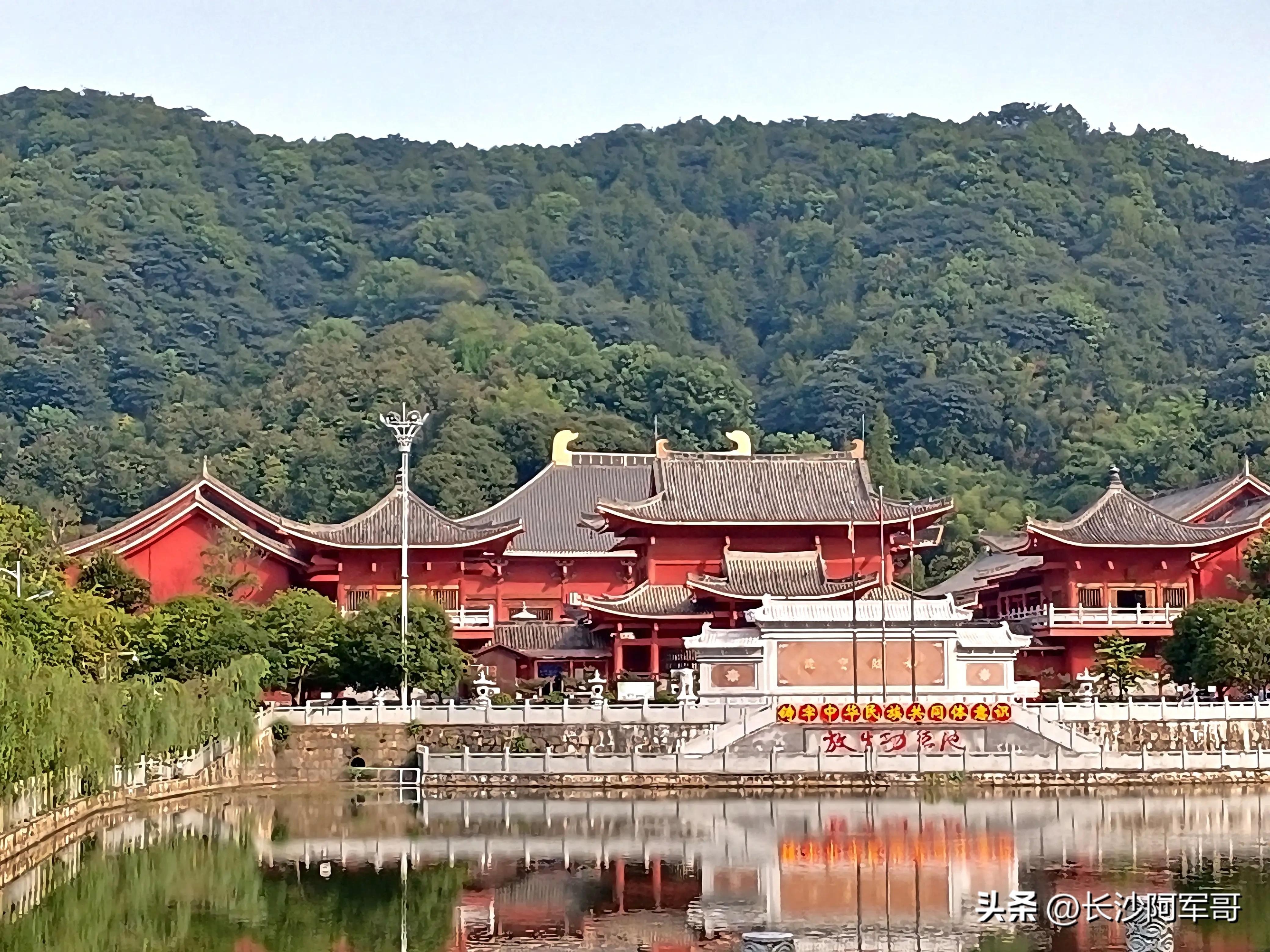 那雾山森林公园一日游,谷山森林公园攻略亲子