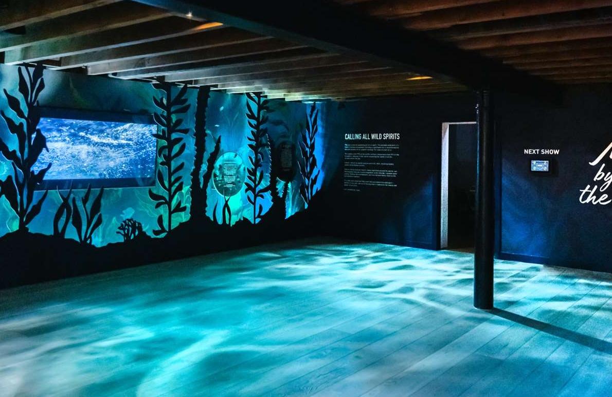 海洋之王新游客中心开放,泰斯卡威士忌开启顶级酒类体验