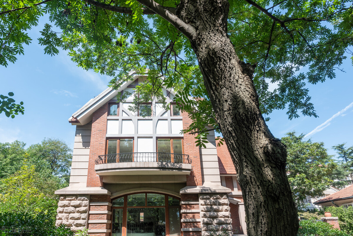 青岛疫情期间哪些景区免费,青岛疫情免费景区