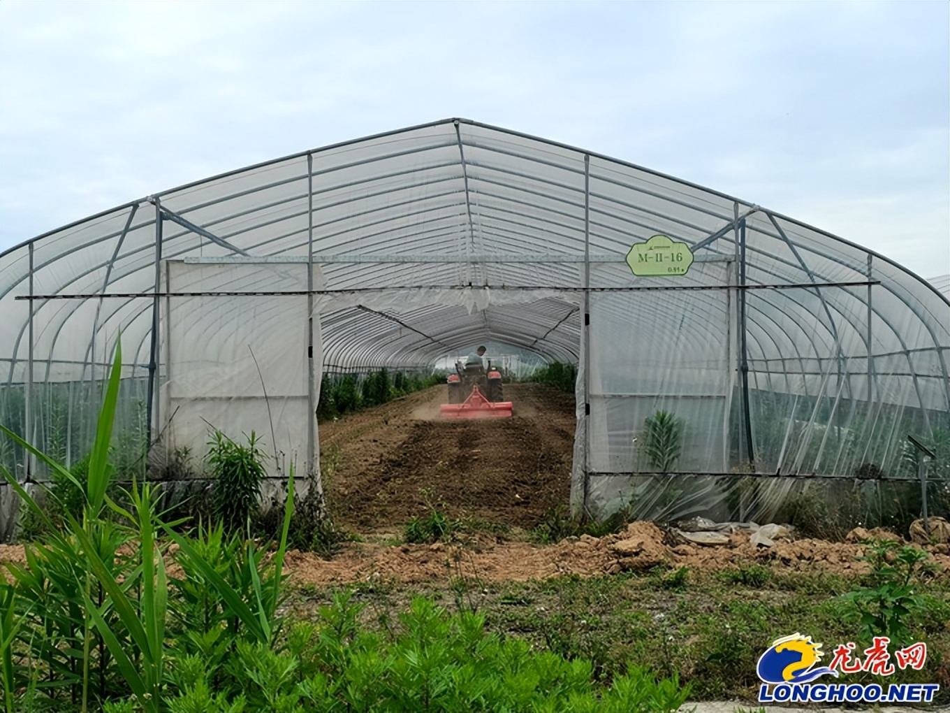 溧水中亮有机农场,江苏溧水现代农业园