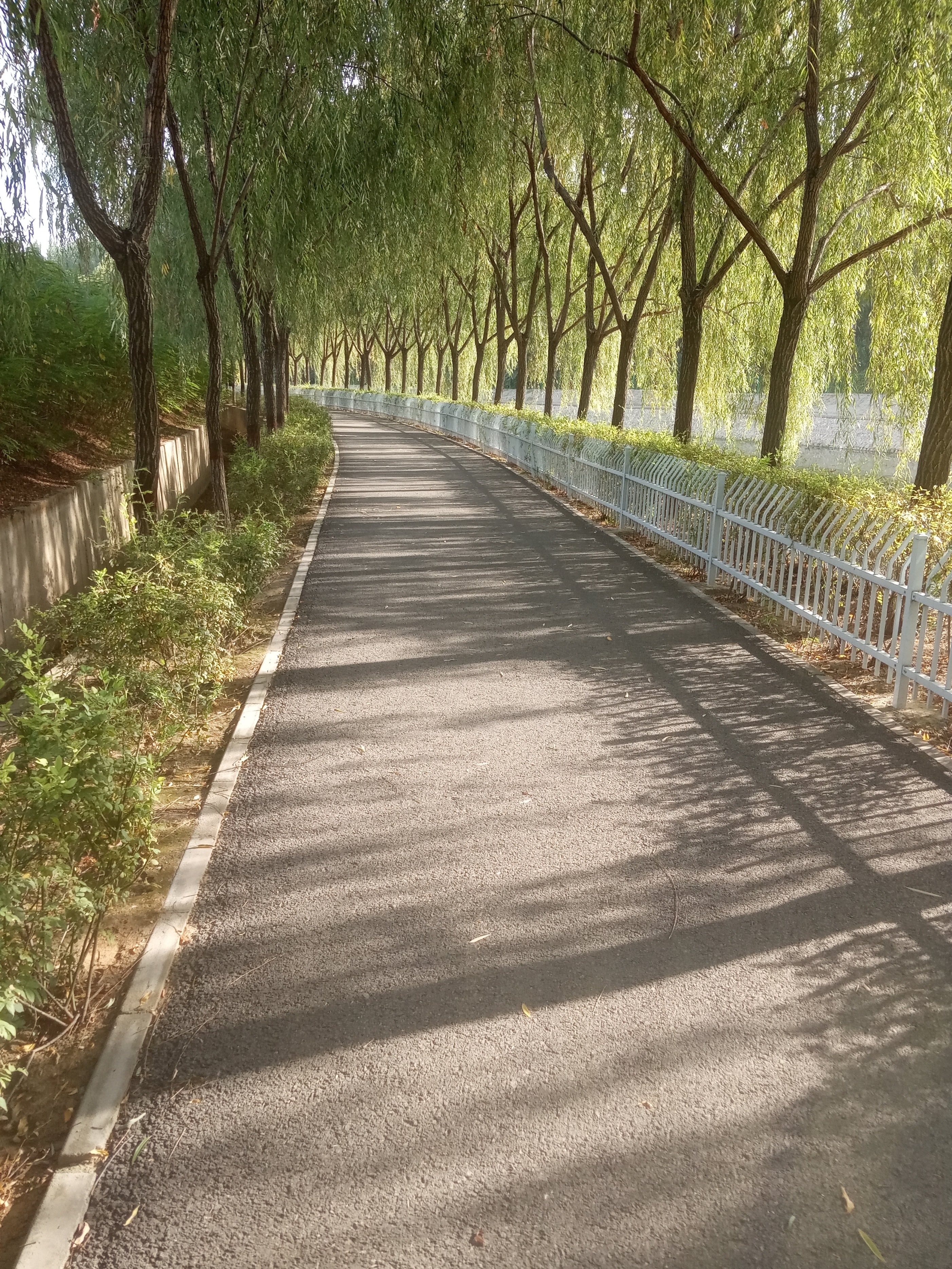 赌博被传唤要坐牢么,在场赌博抓获怎么处罚