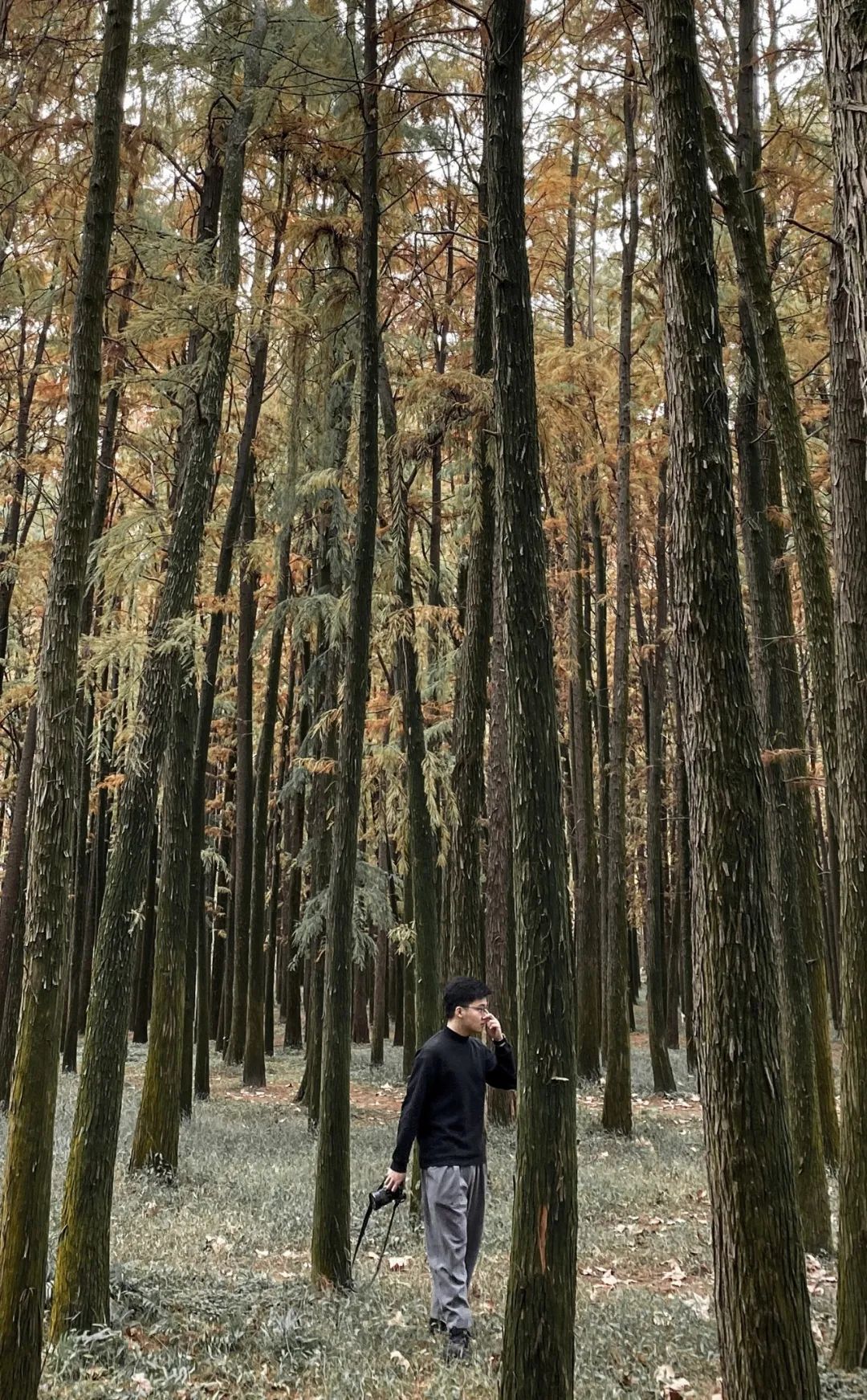 如果你认识建筑系幸周澜屹……