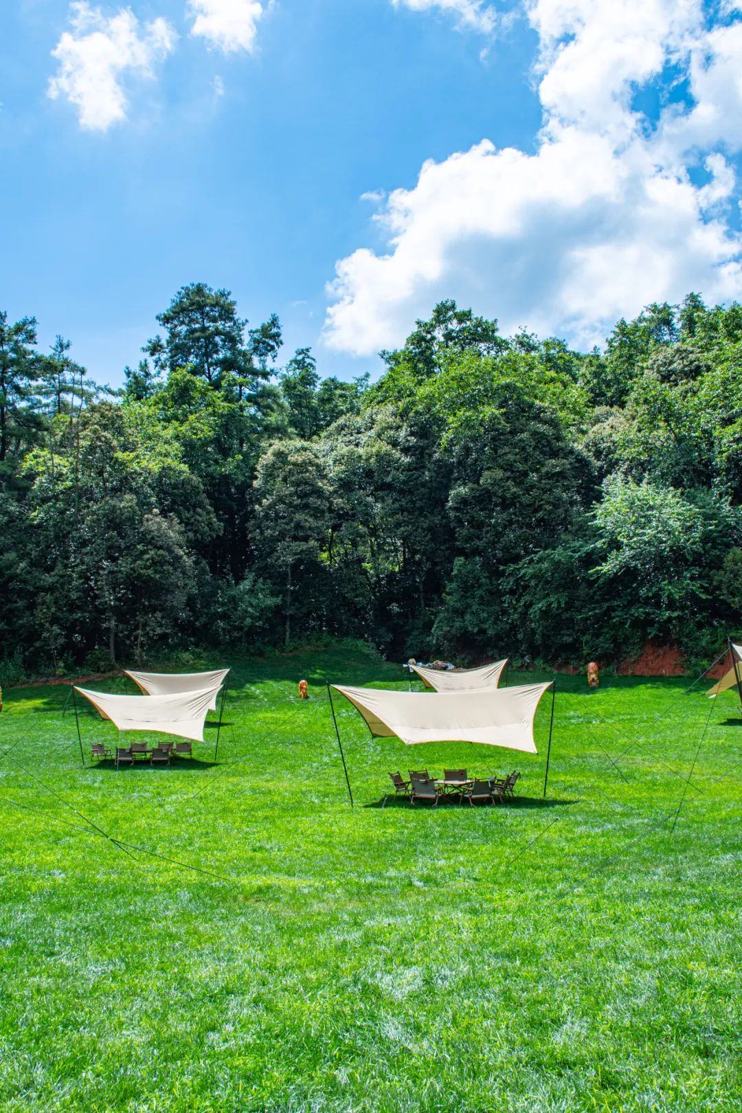 昆明国庆周边游露营,昆明春游露营的地方