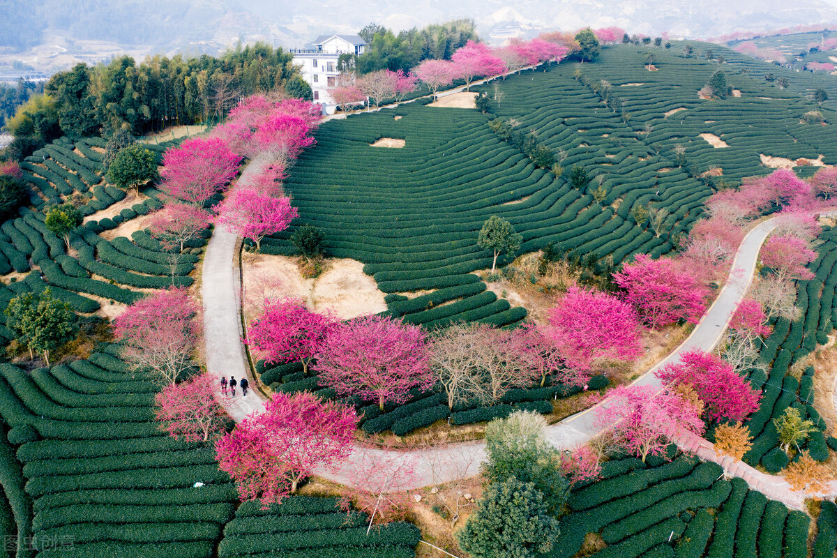 二月适合去哪旅游4天,二月适合去哪里旅行最好