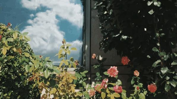 高频词英语启蒙必备练习册,超高频英语