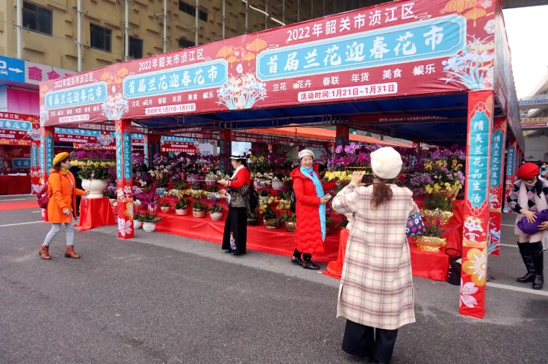 韶关浈江区首届兰花迎春花市,韶关浈江区迎春花市