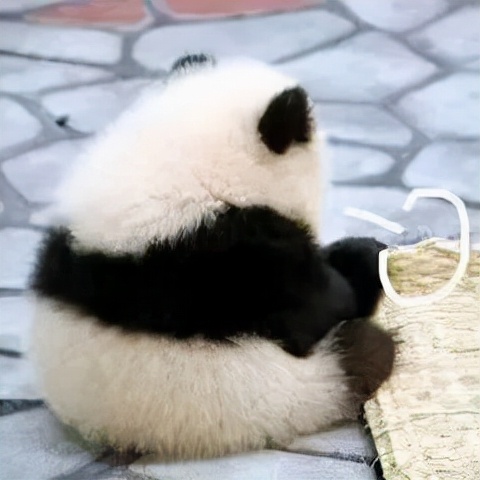 减肥小基数96斤怎么就不好减了,3个月我瘦了25斤小基数减肥心得