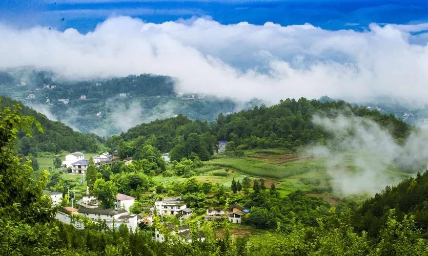 最独一无二的冷知识大全,中国唯一冷知识