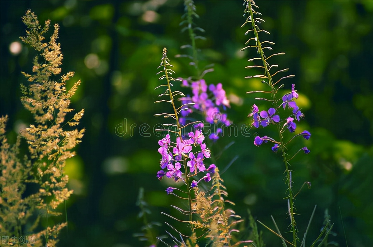 半生已过在余生里请不要辜负自己,半生已过后半生请善待自己