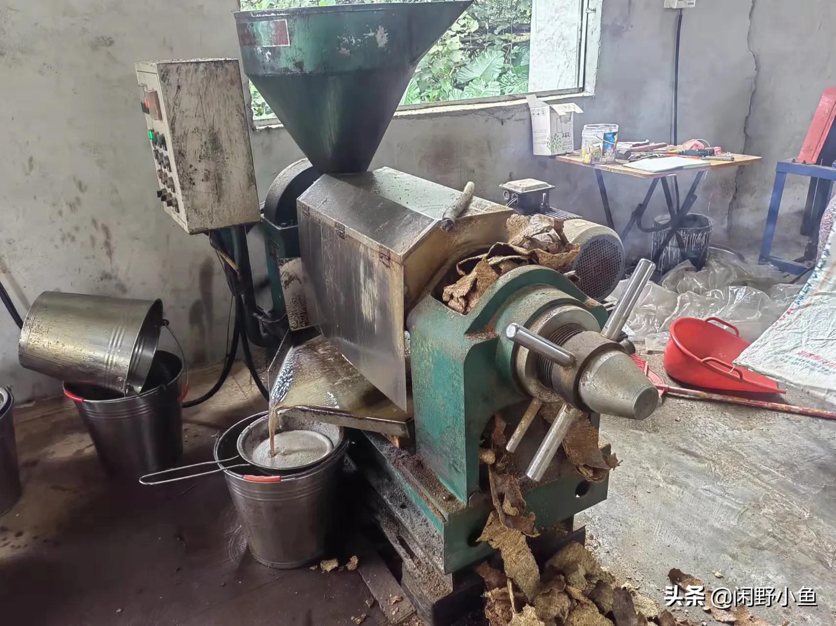 童年的味道你感觉到了吗,童年的味道真的很香吗